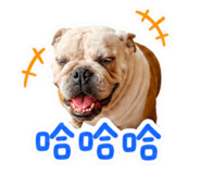 856444846