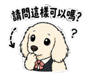 856445396