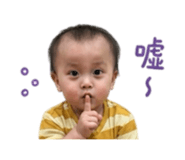 856445499