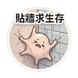 856446860