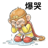 856447510