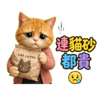 856447768