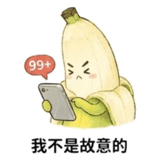 856448365