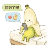 856448394
