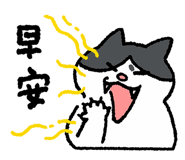856448569
