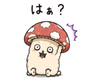 856449897