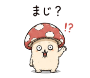856449898