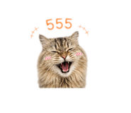 856450211