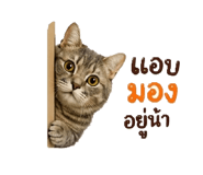 856451736
