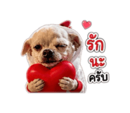 856453691