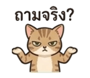 856456302