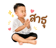 856456334