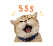 856457403