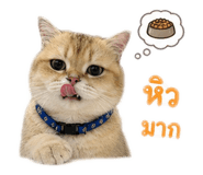 856457408