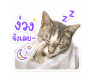 856457644