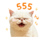 856458082