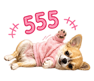 856458580