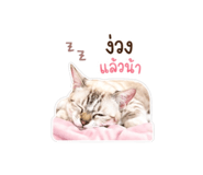 856459569