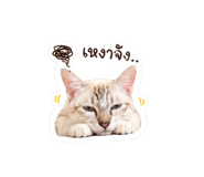 856459572