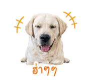 856459666