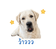 856459667
