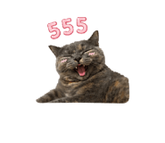 856459736