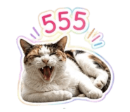856459781