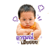 856459913