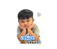 856460024