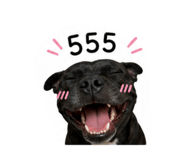 856460131
