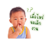 856460166