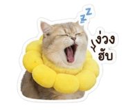 856464055