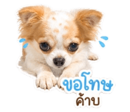 856464543