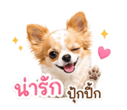 856464549