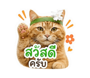 856464830
