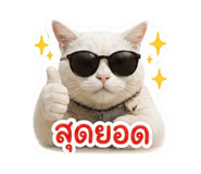 856464843