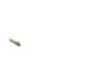 856465431