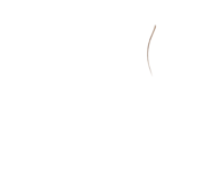 856465437