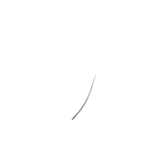 856465448