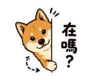 856465752