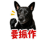 856466324