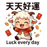 856466465