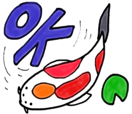8564676