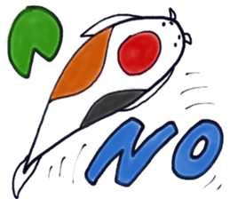 8564677