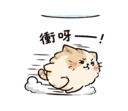 856470838