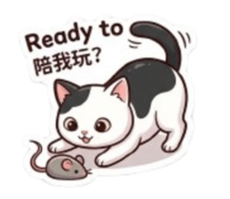 856473207