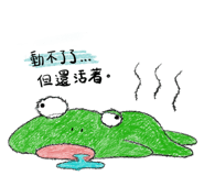 856474728