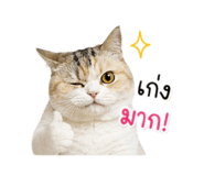 856475756