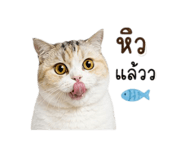 856475759