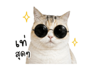 856475766